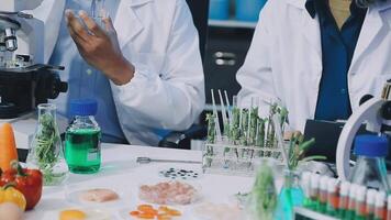 Two people in lab coats looking at a microscope video