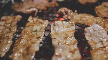Grilled meat on a grill video