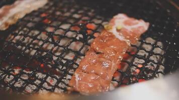 A piece of meat being cooked on a grill video