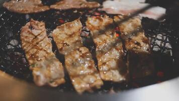 Grilling meat on a grill with a metal grill video