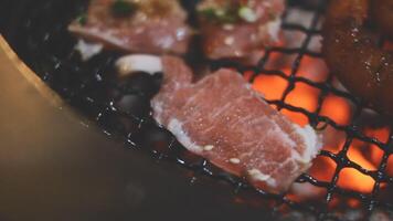 A grill with meat and shrimp on it video