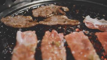 A close up of meat and vegetables on a grill video