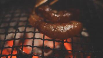 A close up of a piece of meat on a grill video