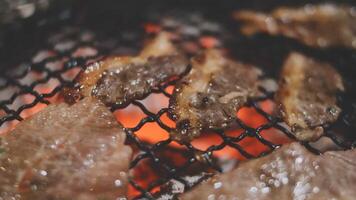 Grilling meat on a grill video