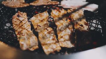 Grilling meat on a grill with a metal grill video