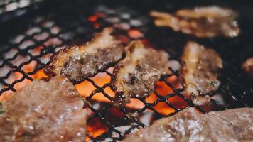 Grilling meat on a grill video