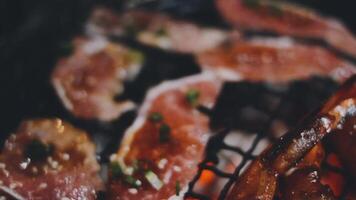 A close up of meat and vegetables on a grill video