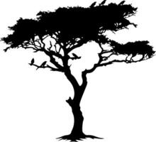 Acacia Tree Silhouette with Birds Wildlife for Art and Design Projects vector