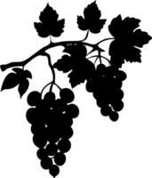 Grape Vine Silhouette for Design Art and Decoration Projects vector