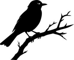 Silhouette of Bird Perched on Bare Branch Art for Nature Illustrations and Design vector