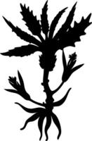 Silhouette of Exotic Flower Plant Illustration for Botanical Art and Design Projects vector