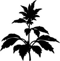 Silhouette of Leafy Herb Plant Perfect for Botanical Illustrations and Design Projects vector