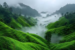 Lush Green Terraced Hills and Misty Valleys in a Serene Landscape for Nature Enthusiasts and Scenic Wall Art photo