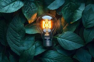Illuminated Light Bulb Amidst Lush Green Leaves - Concept of Eco-Friendly Energy photo