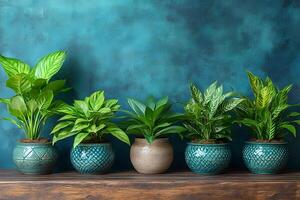 Stylish Indoor Plants on Wooden Shelf Against Textured Teal Wall for Home Decor Inspiration photo