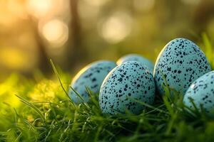 Speckled Easter Eggs on Grass in a Sunlit Spring Setting for Holiday Designs photo
