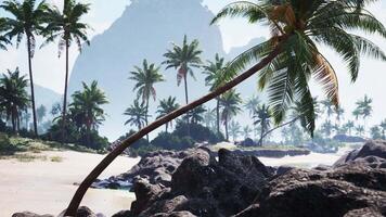 Enjoying the serene beach landscape with palm trees in Tahiti during the day video