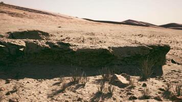Rugged terrain of Mongolia with scattered vegetation under a clear sky video