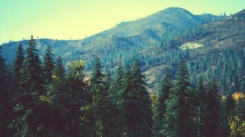Scenic view of mountainous landscape with dense evergreen forest in autumn video