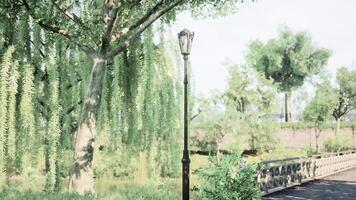 Quiet afternoon in a serene park with trees and a vintage lamppost video