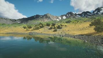 Serene lakeside view with mountains and lush greenery on a sunny day video