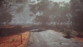 Road through a desolate landscape after a bushfire in a remote region video
