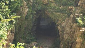 Exploring the hidden cave surrounded by lush greenery in Indonesia video