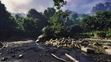 Exploring the lush greenery and rocky terrain of Laos in the afternoon light video