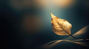 veins dark leaf background photo