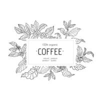 Coffee plant frame with leaves and berries in line art style. Rectangular label with text in the center. Black and white botanical illustration. Template for branding, packaging, and label design. vector
