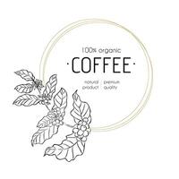 Coffee plant branch with leaves and berries in line art style. Circular golden frame with text. Black and white botanical illustration. Template for branding, packaging, and label design. vector