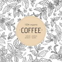 A modern coffee packaging design featuring hand-drawn botanical line art of coffee plants on a white background with a beige label, emphasizing premium quality. vector