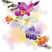 Greeting card with gentle freesia flowers vector