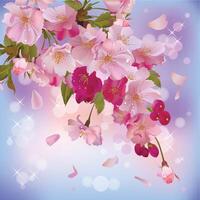 background with gentle sakura branch of flowers vector