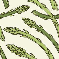 Asparagus seamless pattern vector