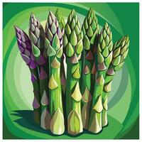 illustration of asparagus on green background vector