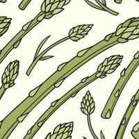 Asparagus seamless pattern illustration vector