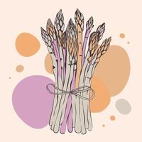 A bunch of asparagus is shown in a colorful background vector