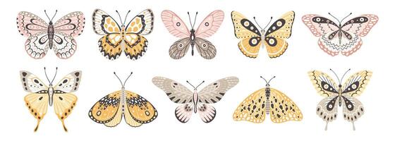 Butterflies and moths, a set of colorful insect. Cute wings with abstract ornament, front view. Elements for tattoo design. Summer background vector