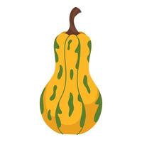 Hand drawn pumpkin on white background vector