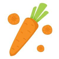 Carrot with Slices Hand Drawn Illustration on White Background vector
