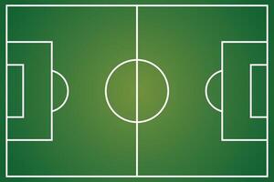 Soccer field with white lines and green lines vector