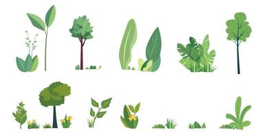 Set of illustrations in a flat style with green plants, trees, and grass isolated on a white background. Cartoon design vector
