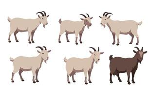 Goat Farming Scene with Happy Domestic Animals on a Pasture vector