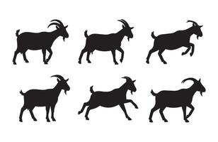 Cartoon Goat With Curved Horns Standing in a Funny Farmyard Setting vector