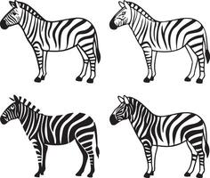 Zebra line art design set icon vector