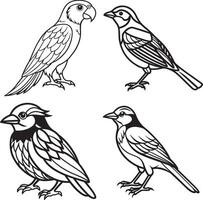 parrot birds image icon design vector