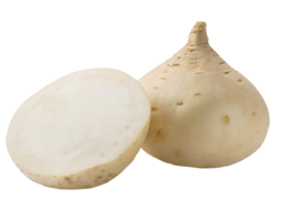 fresh jicama root, whole and sliced crunchy tuber, crisp and juicy white flesh, nutritious and versatile vegetable, on isolated background png