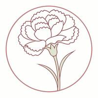 Botanical Carnation Symbol vector