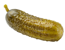 whole pickled cucumber on isolated background, fermented gherkin with bumpy texture, glossy preserved dill pickle for culinary and gourmet use png